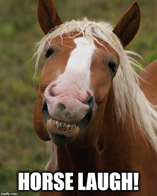 HORSE LAUGH! | made w/ Imgflip meme maker