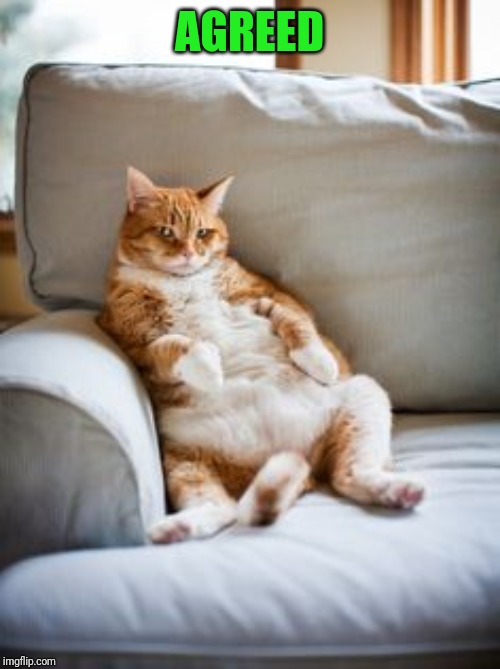 Lazy cat | AGREED | image tagged in lazy cat | made w/ Imgflip meme maker