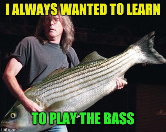Bass guitar pun | I ALWAYS WANTED TO LEARN TO PLAY THE BASS | image tagged in bass guitar pun | made w/ Imgflip meme maker