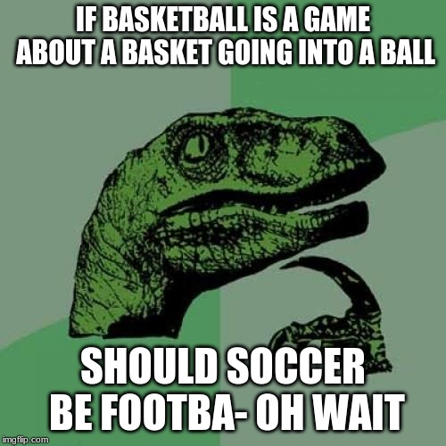 Philosoraptor Meme | IF BASKETBALL IS A GAME ABOUT A BASKET GOING INTO A BALL; SHOULD SOCCER BE FOOTBA- OH WAIT | image tagged in memes,philosoraptor | made w/ Imgflip meme maker