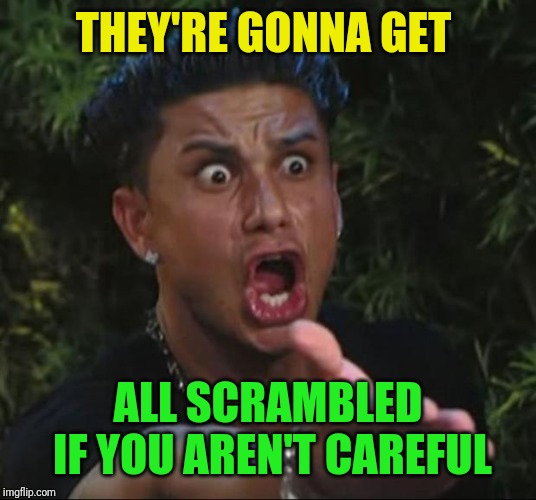 DJ Pauly D Meme | THEY'RE GONNA GET ALL SCRAMBLED IF YOU AREN'T CAREFUL | image tagged in memes,dj pauly d | made w/ Imgflip meme maker