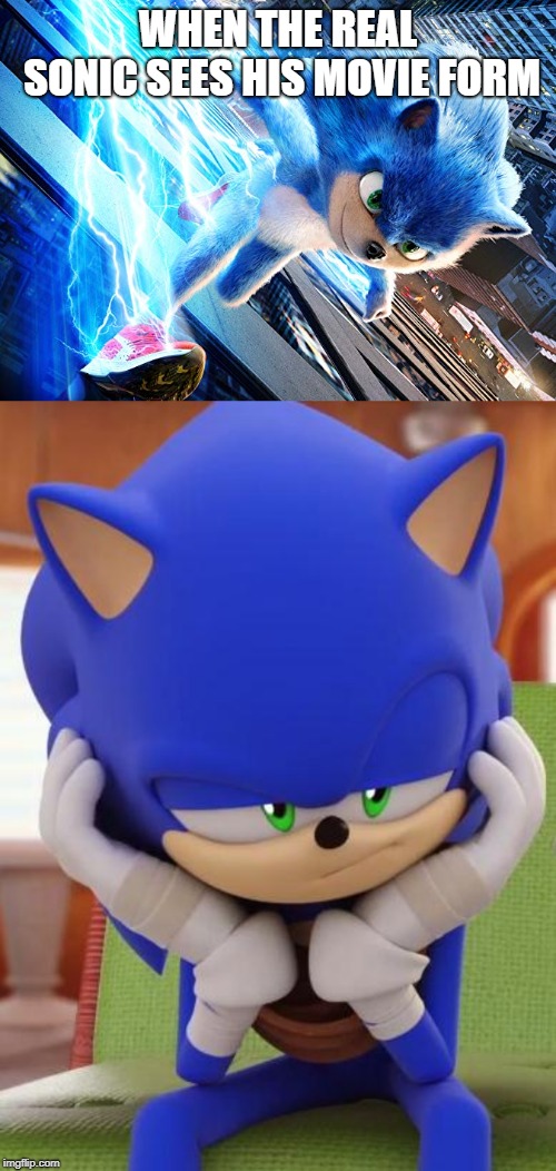 WHEN THE REAL SONIC SEES HIS MOVIE FORM | image tagged in disappointed sonic | made w/ Imgflip meme maker