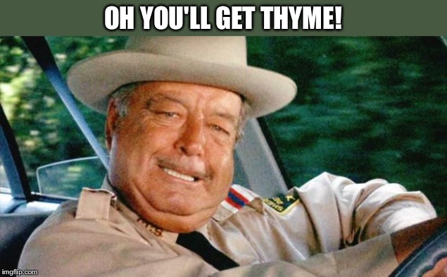 Smokey and the Bandit 1 | OH YOU'LL GET THYME! | image tagged in smokey and the bandit 1 | made w/ Imgflip meme maker