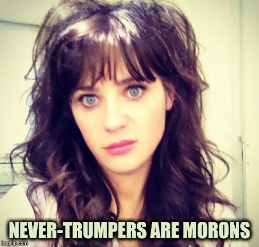 Zooey Deschanel | NEVER-TRUMPERS ARE MORONS | image tagged in zooey deschanel | made w/ Imgflip meme maker