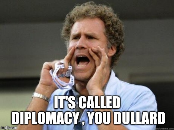 Yelling | IT'S CALLED DIPLOMACY , YOU DULLARD | image tagged in yelling | made w/ Imgflip meme maker