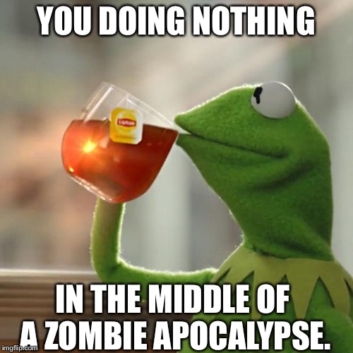 But That's None Of My Business Meme | YOU DOING NOTHING; IN THE MIDDLE OF A ZOMBIE APOCALYPSE. | image tagged in memes,but thats none of my business,kermit the frog | made w/ Imgflip meme maker