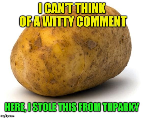 I am a potato | I CAN'T THINK OF A WITTY COMMENT HERE, I STOLE THIS FROM THPARKY | image tagged in i am a potato | made w/ Imgflip meme maker