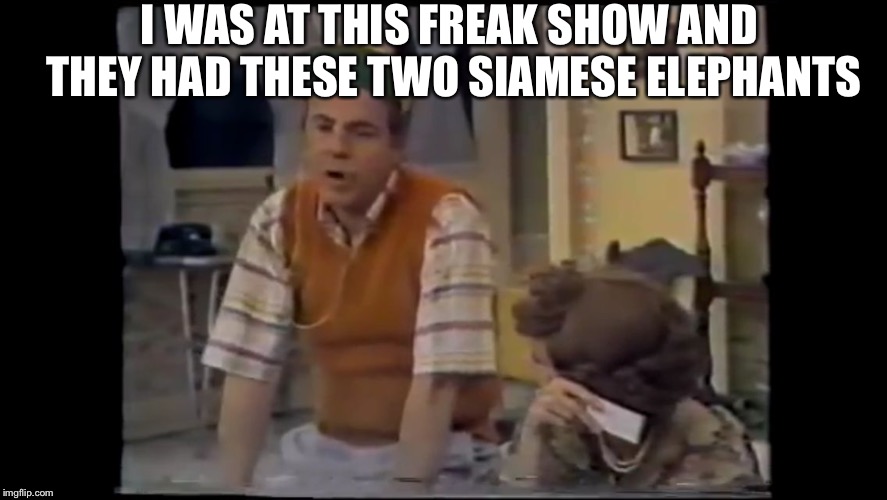 Cool Bullshit Tim Conway | I WAS AT THIS FREAK SHOW AND THEY HAD THESE TWO SIAMESE ELEPHANTS | image tagged in cool bullshit tim conway | made w/ Imgflip meme maker