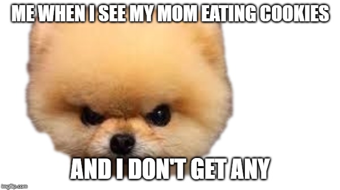 that face when i | ME WHEN I SEE MY MOM EATING COOKIES; AND I DON'T GET ANY | image tagged in that face when i | made w/ Imgflip meme maker