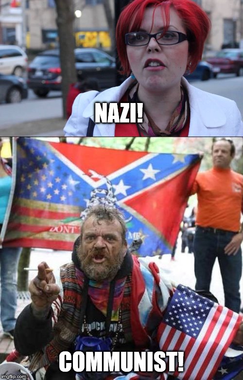 NAZI! COMMUNIST! | image tagged in feminazi,conservative alt right tardo | made w/ Imgflip meme maker