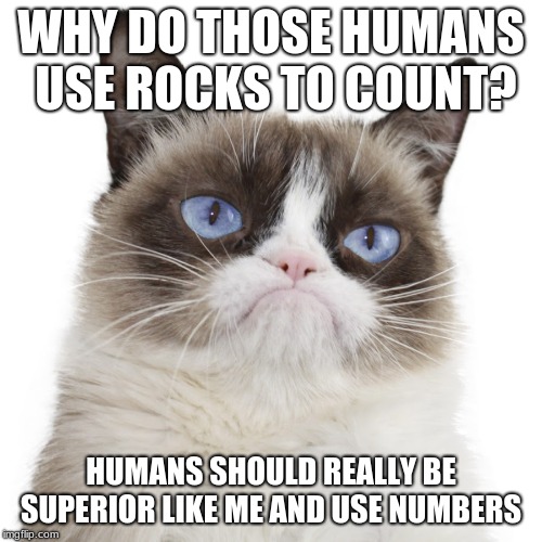  I wish I was blind grumpy cat | WHY DO THOSE HUMANS USE ROCKS TO COUNT? HUMANS SHOULD REALLY BE SUPERIOR LIKE ME AND USE NUMBERS | image tagged in i wish i was blind grumpy cat | made w/ Imgflip meme maker