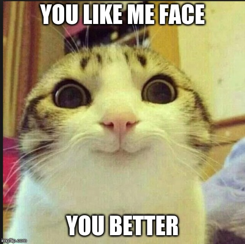 TOTALY! | YOU LIKE ME FACE; YOU BETTER | image tagged in totaly | made w/ Imgflip meme maker