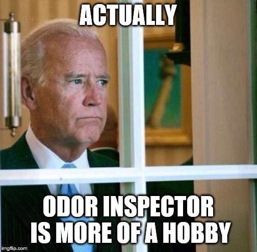 Sad Joe Biden | ACTUALLY ODOR INSPECTOR IS MORE OF A HOBBY | image tagged in sad joe biden | made w/ Imgflip meme maker