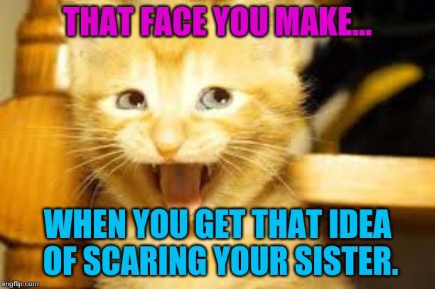 Brilliant idea | THAT FACE YOU MAKE... WHEN YOU GET THAT IDEA OF SCARING YOUR SISTER. | image tagged in 2019 | made w/ Imgflip meme maker