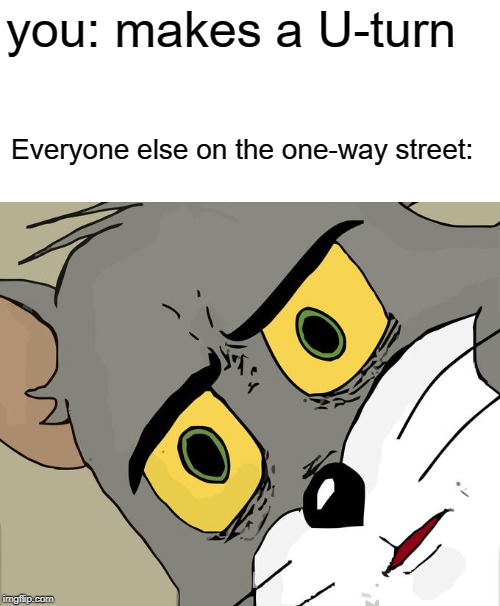 Unsettled Tom Meme | you: makes a U-turn; Everyone else on the one-way street: | image tagged in memes,unsettled tom | made w/ Imgflip meme maker