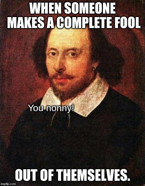 Nonny = Fool | WHEN SOMEONE MAKES A COMPLETE FOOL; You nonny! OUT OF THEMSELVES. | image tagged in shakespeare,memes,fool,nonny,old english | made w/ Imgflip meme maker