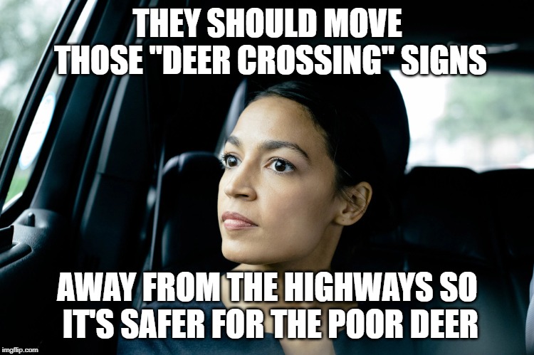 Alexandria Ocasio-Cortez | THEY SHOULD MOVE THOSE "DEER CROSSING" SIGNS; AWAY FROM THE HIGHWAYS SO IT'S SAFER FOR THE POOR DEER | image tagged in alexandria ocasio-cortez | made w/ Imgflip meme maker