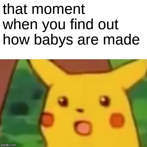 pikachu knows the truth | that moment when you find out how babies are made | image tagged in memes,surprised pikachu,that moment when | made w/ Imgflip meme maker