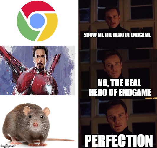 perfection | SHOW ME THE HERO OF ENDGAME; NO, THE REAL HERO OF ENDGAME; PERFECTION | image tagged in perfection | made w/ Imgflip meme maker