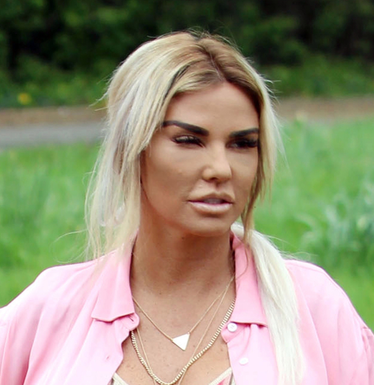 High Quality Katie Price Blank Meme Template