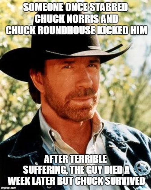 Chuck Norris Meme | SOMEONE ONCE STABBED CHUCK NORRIS AND CHUCK ROUNDHOUSE KICKED HIM; AFTER TERRIBLE SUFFERING, THE GUY DIED A WEEK LATER BUT CHUCK SURVIVED | image tagged in memes,chuck norris | made w/ Imgflip meme maker