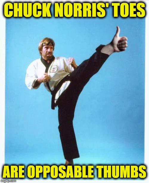 Thumbs Up Chuck | CHUCK NORRIS' TOES; ARE OPPOSABLE THUMBS | image tagged in thumbs up chuck | made w/ Imgflip meme maker