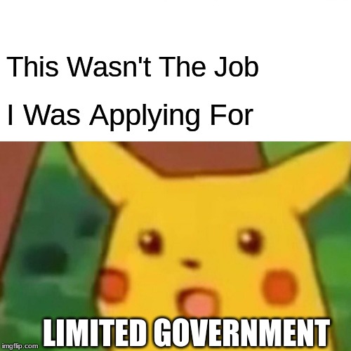 Surprised Pikachu Meme | This Wasn't The Job; I Was Applying For; LIMITED GOVERNMENT | image tagged in memes,surprised pikachu | made w/ Imgflip meme maker