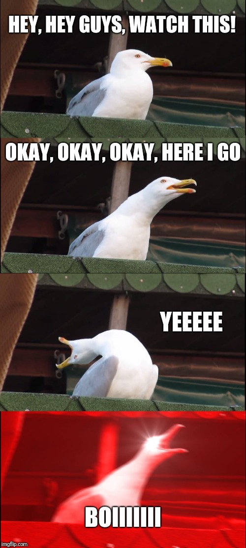 Inhaling Seagull | HEY, HEY GUYS, WATCH THIS! OKAY, OKAY, OKAY,
HERE I GO; YEEEEE; BOIIIIIII | image tagged in memes,inhaling seagull | made w/ Imgflip meme maker