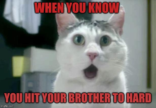 yes | WHEN YOU KNOW; YOU HIT YOUR BROTHER TO HARD | image tagged in hide the pain harold | made w/ Imgflip meme maker