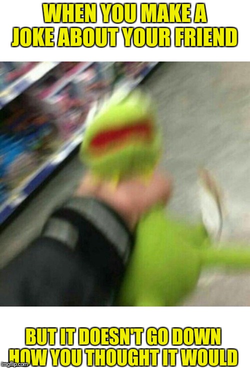 WHEN YOU MAKE A JOKE ABOUT YOUR FRIEND; BUT IT DOESN'T GO DOWN HOW YOU THOUGHT IT WOULD | image tagged in send help,some people have no sense of humour,kermit the frog | made w/ Imgflip meme maker
