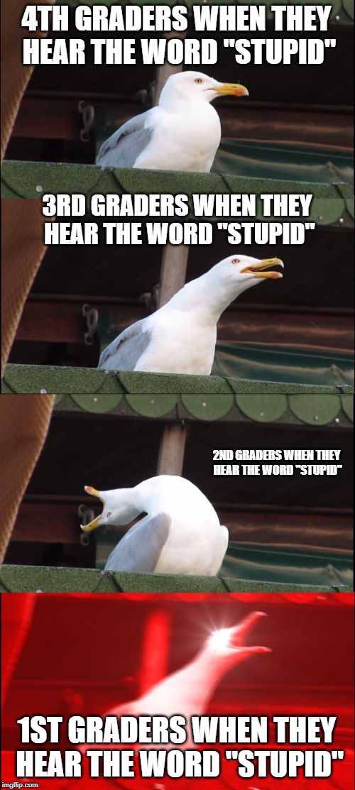 Inhaling Seagull | 4TH GRADERS WHEN THEY HEAR THE WORD "STUPID"; 3RD GRADERS WHEN THEY HEAR THE WORD "STUPID"; 2ND GRADERS WHEN THEY HEAR THE WORD "STUPID"; 1ST GRADERS WHEN THEY HEAR THE WORD "STUPID" | image tagged in memes,inhaling seagull | made w/ Imgflip meme maker