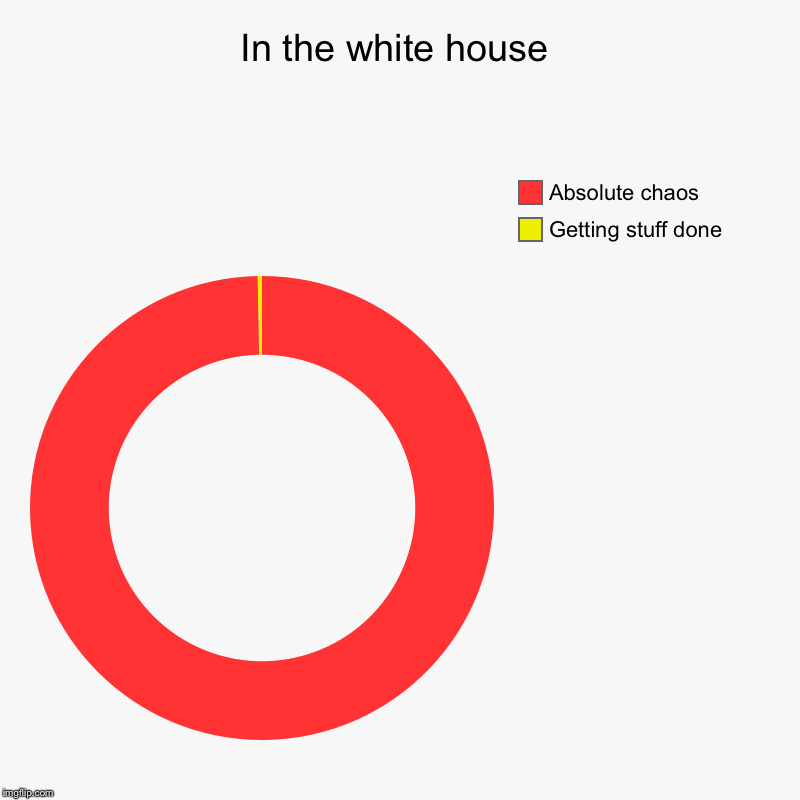 In the white house | Getting stuff done, Absolute chaos | image tagged in charts,donut charts | made w/ Imgflip chart maker