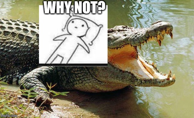 Crocodile barrel roll | WHY NOT? | image tagged in crocodile barrel roll | made w/ Imgflip meme maker