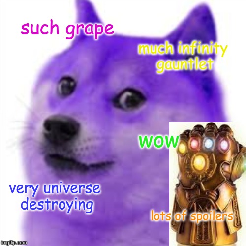 such grape; much infinity gauntlet; wow; very universe destroying; lots of spoilers | image tagged in avengers endgame | made w/ Imgflip meme maker