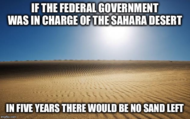 desert | IF THE FEDERAL GOVERNMENT WAS IN CHARGE OF THE SAHARA DESERT IN FIVE YEARS THERE WOULD BE NO SAND LEFT | image tagged in desert | made w/ Imgflip meme maker
