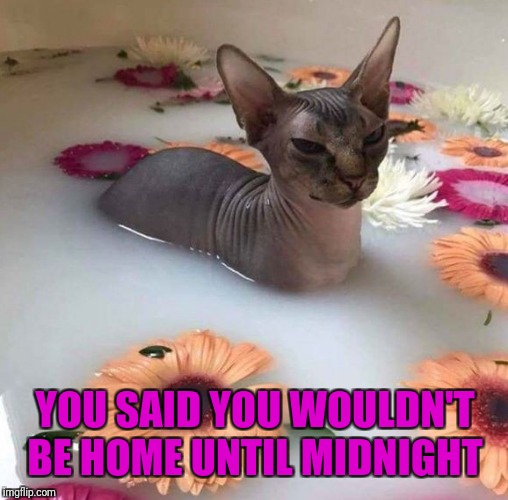 YOU SAID YOU WOULDN'T BE HOME UNTIL MIDNIGHT | made w/ Imgflip meme maker