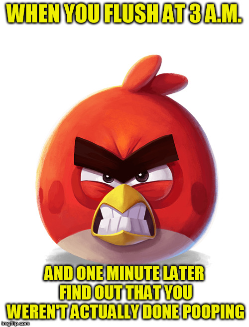 Hey, everybody! It's noise o'clock! | WHEN YOU FLUSH AT 3 A.M. AND ONE MINUTE LATER FIND OUT THAT YOU WEREN'T ACTUALLY DONE POOPING | image tagged in memes,flush,poop,angry,angry birds | made w/ Imgflip meme maker