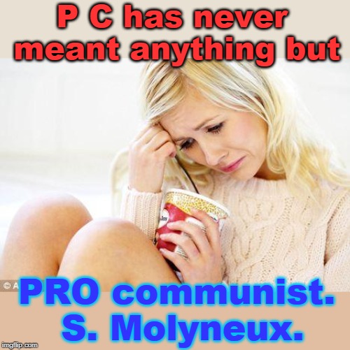 watch the money and Who benefits. | P C has never meant anything but; PRO communist. S. Molyneux. | image tagged in stefan molyneux,political correctness,communist socialist,media lies,meme simple | made w/ Imgflip meme maker