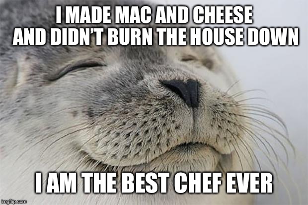 Satisfied Seal | I MADE MAC AND CHEESE AND DIDN’T BURN THE HOUSE DOWN; I AM THE BEST CHEF EVER | image tagged in memes,satisfied seal | made w/ Imgflip meme maker