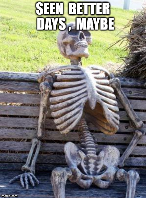 Waiting Skeleton Meme | SEEN  BETTER  DAYS ,  MAYBE | image tagged in memes,waiting skeleton | made w/ Imgflip meme maker