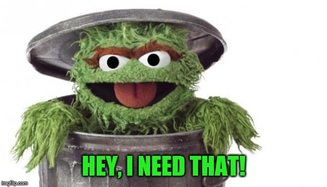 Oscar trashcan Sesame street | HEY, I NEED THAT! | image tagged in oscar trashcan sesame street | made w/ Imgflip meme maker