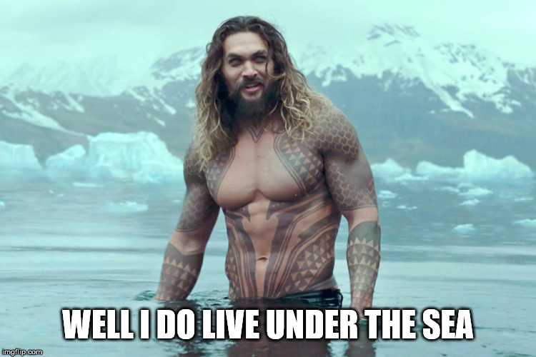 aquaman | WELL I DO LIVE UNDER THE SEA | image tagged in aquaman | made w/ Imgflip meme maker
