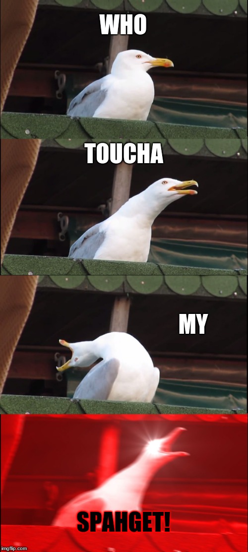 Inhaling Seagull Meme | WHO; TOUCHA; MY; SPAHGET! | image tagged in memes,inhaling seagull | made w/ Imgflip meme maker