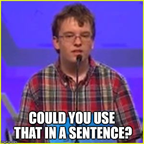 Spelling Bee | COULD YOU USE THAT IN A SENTENCE? | image tagged in spelling bee | made w/ Imgflip meme maker