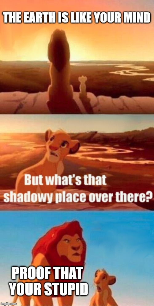 Simba Shadowy Place | THE EARTH IS LIKE YOUR MIND; PROOF THAT YOUR STUPID | image tagged in memes,simba shadowy place | made w/ Imgflip meme maker