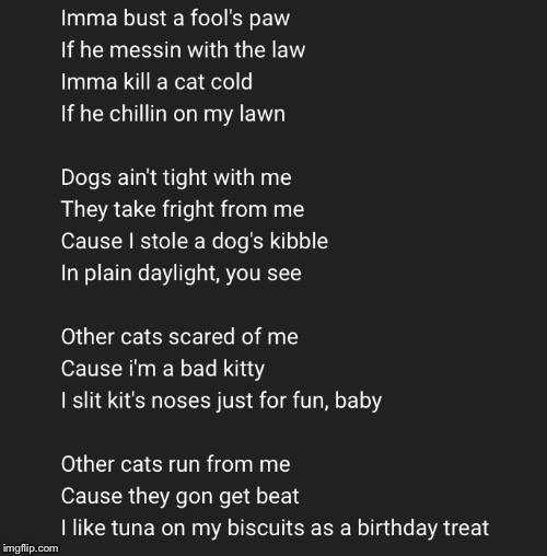 Cat Rap | image tagged in cats,rap | made w/ Imgflip meme maker