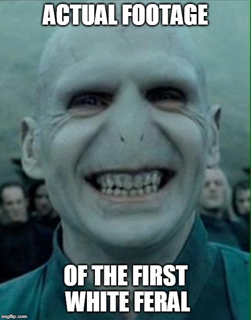 Voldemort Grin | ACTUAL FOOTAGE; OF THE FIRST WHITE FERAL | image tagged in voldemort grin | made w/ Imgflip meme maker