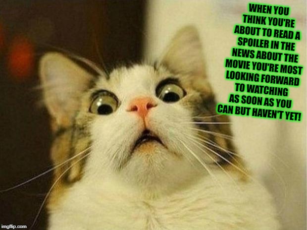 Scared Cat Meme | WHEN YOU THINK YOU'RE ABOUT TO READ A SPOILER IN THE NEWS ABOUT THE MOVIE YOU'RE MOST LOOKING FORWARD TO WATCHING AS SOON AS YOU CAN BUT HAVEN'T YET! | image tagged in memes,scared cat | made w/ Imgflip meme maker