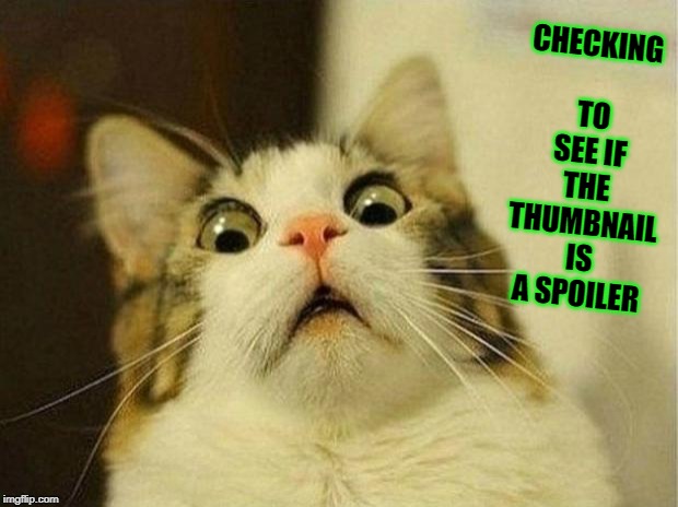 Scared Cat Meme | CHECKING TO SEE IF THE THUMBNAIL IS A SPOILER | image tagged in memes,scared cat | made w/ Imgflip meme maker
