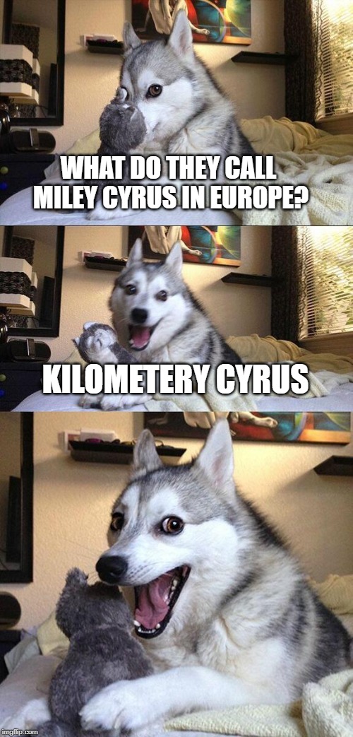Bad Pun Dog | WHAT DO THEY CALL MILEY CYRUS IN EUROPE? KILOMETERY CYRUS | image tagged in memes,bad pun dog | made w/ Imgflip meme maker